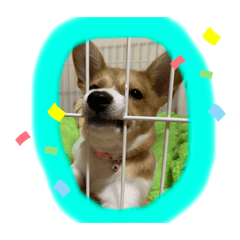 tomomi_20201117000659