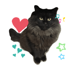 kazuki_20201116212459