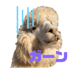 asuka_20201117015500