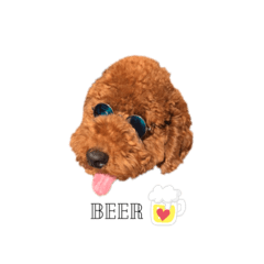 aska_20201117015102