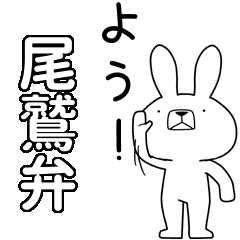 BIG Dialect rabbit[owase]