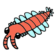 Cambrian creatures