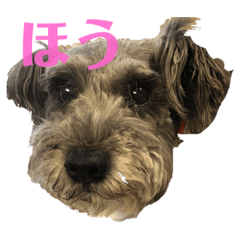 akiko_20201116223951