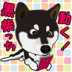 Move! Sticker of Black SHiba inu