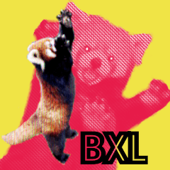 Red Panda Stickers For Brussels Lovers!