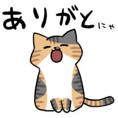 Calico tabby cat sticker