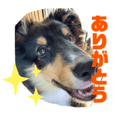 asuka_20201117131055