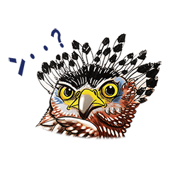 石垣島と西表島の野鳥
