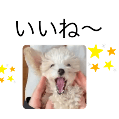 かねねんのうめ吉くん