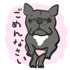 comical and cute french bulldogs