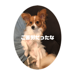 Aoi_20201117231552