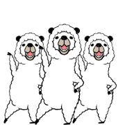smiling alpaca...