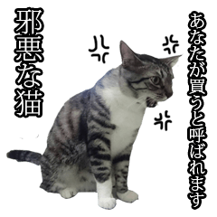 Cat slaves necessary2(Japanese)