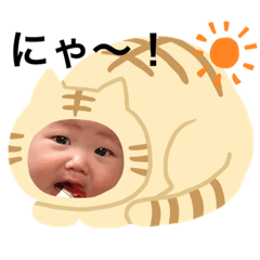tanuki_20201117223331