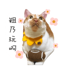 哥吉毛-8公斤系列