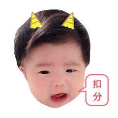 二六五零可可報到