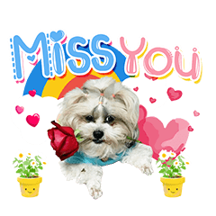 Por Pea Lovely Dog
