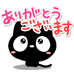 Very cute black cat (Basic)