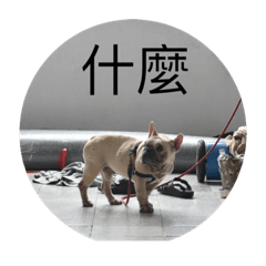 女籃的球隊小生活