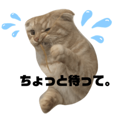 riho_20201118151954