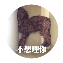 Josh的日常 第二集