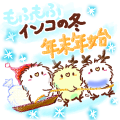 Fluffy budgerigar's winter new year Xmas