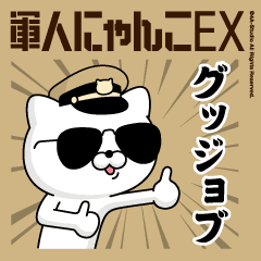 Movie! Military cat 2 (desert) every day