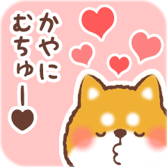 Love Sticker to Kaya from Shiba 2