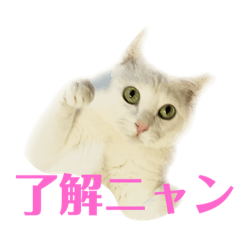 hana_20201118122448