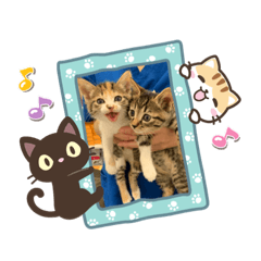suzu_20201118173859