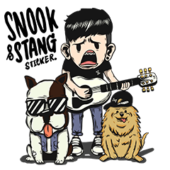 Snook & Stang