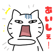 Shimokitaben Cat 2