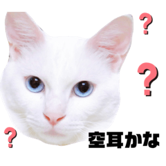 asuka_20201119011923