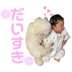 rina_20201119094708
