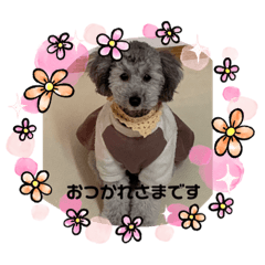 Saori_20201118224215