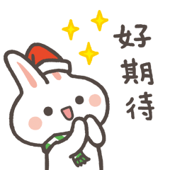 兔子波波-歡慶聖誕節
