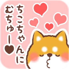 Love Sticker to Chikochan from Shiba 2