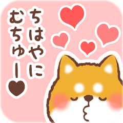 Love Sticker to Chihaya from Shiba 2