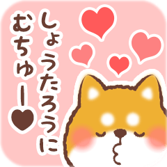 Love Sticker to Shoutarou from Shiba 2