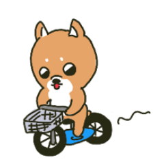 bike dog sticker