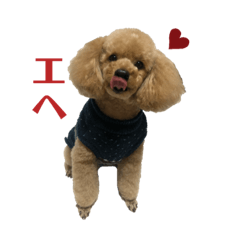 kanae_20201119165226