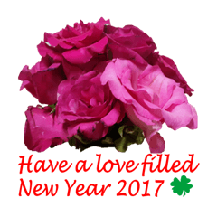 FLOWER TODAY FOR HAPPY NEW YEAR 2017