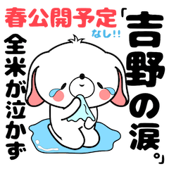 Bunny Sticker Yoshino