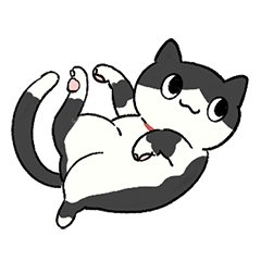 Daily Tuxedo Cat