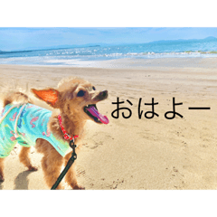 MIKO_20201118200507