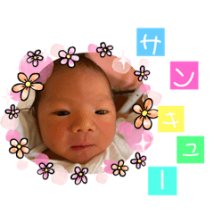 HIKARI_20201119220218