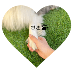 asuka_20201119231028