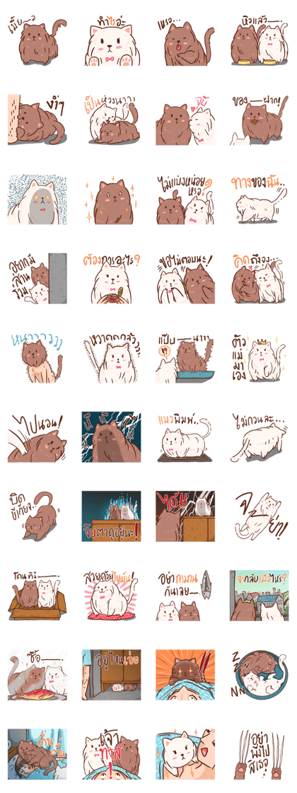 BROWNY&COTTY BROWNY&COTTY