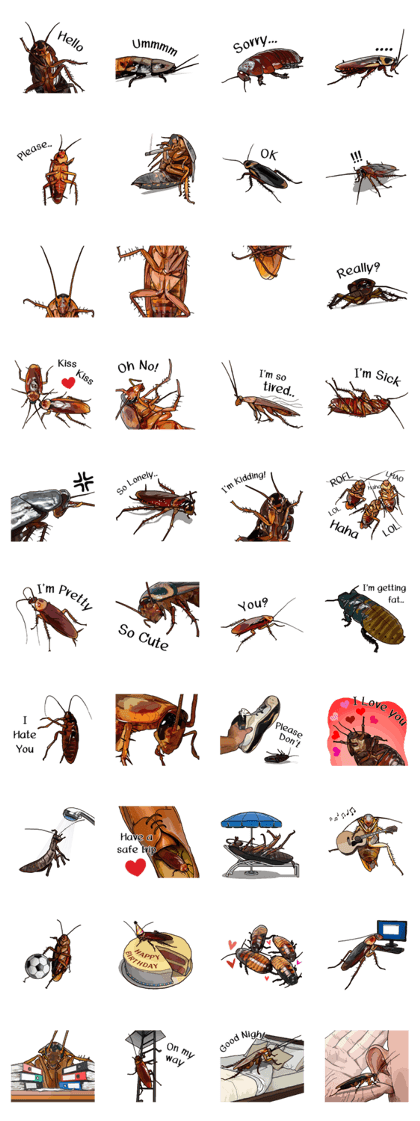 Amazing Cockroach (Eng)