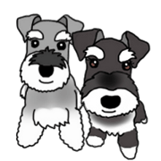 KURUMI & SANGO KURUMI & SANGO